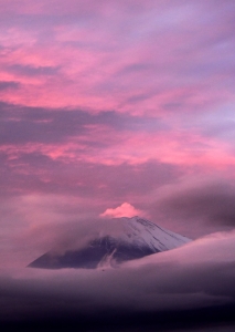 photo?id=3636&suffix=m