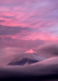 photo?id=3636&suffix=t