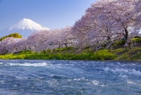 photo?id=3637&suffix=t