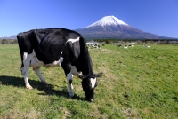 photo?id=3638&suffix=t