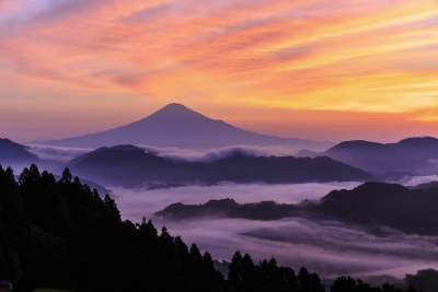 photo?id=3639&suffix=m