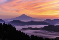 photo?id=3639&suffix=t