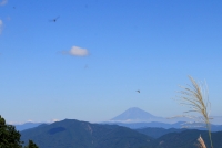 photo?id=3642&suffix=t