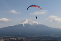 photo?id=3644&suffix=t