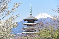 photo?id=3648&suffix=t