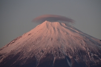 photo?id=3651&suffix=t