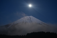 photo?id=3653&suffix=t