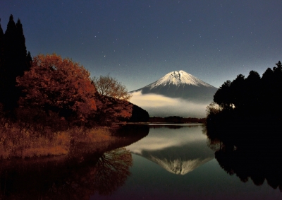 photo?id=3669&suffix=m