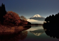 photo?id=3669&suffix=t