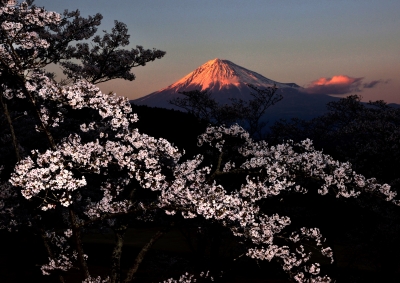 photo?id=3671&suffix=m