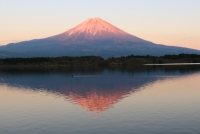 photo?id=3676&suffix=t
