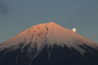 photo?id=3680&suffix=t