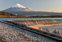 photo?id=3684&suffix=t