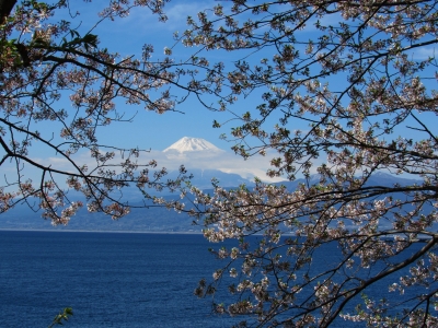 photo?id=3693&suffix=m