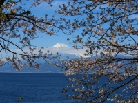 photo?id=3693&suffix=t