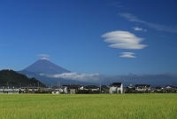 photo?id=3695&suffix=t