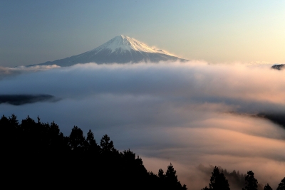 photo?id=3696&suffix=m