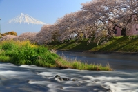 photo?id=3700&suffix=t