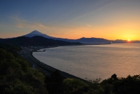 photo?id=3702&suffix=t