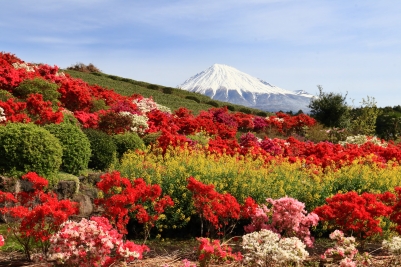 photo?id=3704&suffix=m