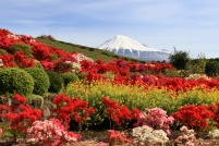 photo?id=3704&suffix=t