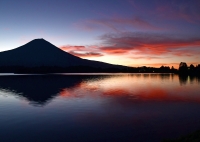 photo?id=3706&suffix=t