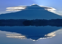 photo?id=3707&suffix=t