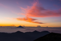 photo?id=3712&suffix=t