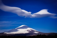 photo?id=3714&suffix=t