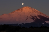 photo?id=3718&suffix=t