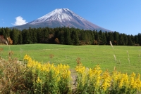 photo?id=3719&suffix=t