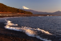 photo?id=3720&suffix=t