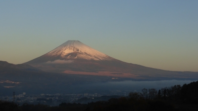 photo?id=3722&suffix=m