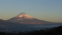 photo?id=3722&suffix=t