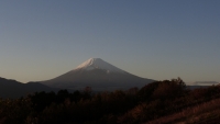 photo?id=3723&suffix=t