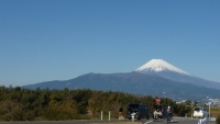 photo?id=3725&suffix=t