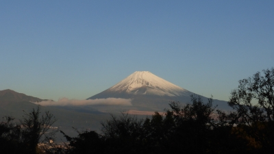 photo?id=3726&suffix=m