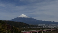 photo?id=3727&suffix=t