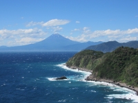 photo?id=3729&suffix=t