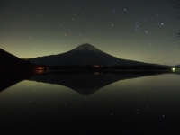 photo?id=3730&suffix=t