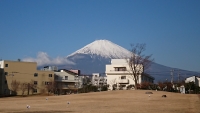 photo?id=3731&suffix=t