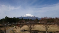 photo?id=3732&suffix=t