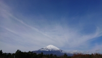 photo?id=3733&suffix=t