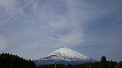 photo?id=3734&suffix=m
