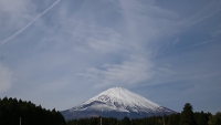 photo?id=3734&suffix=t