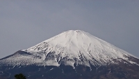 photo?id=3737&suffix=t