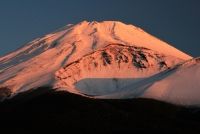 photo?id=3741&suffix=t
