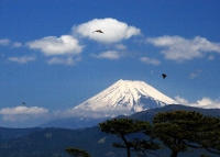 photo?id=3743&suffix=t