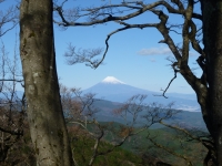 photo?id=3744&suffix=t