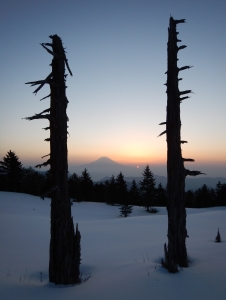 photo?id=3746&suffix=m